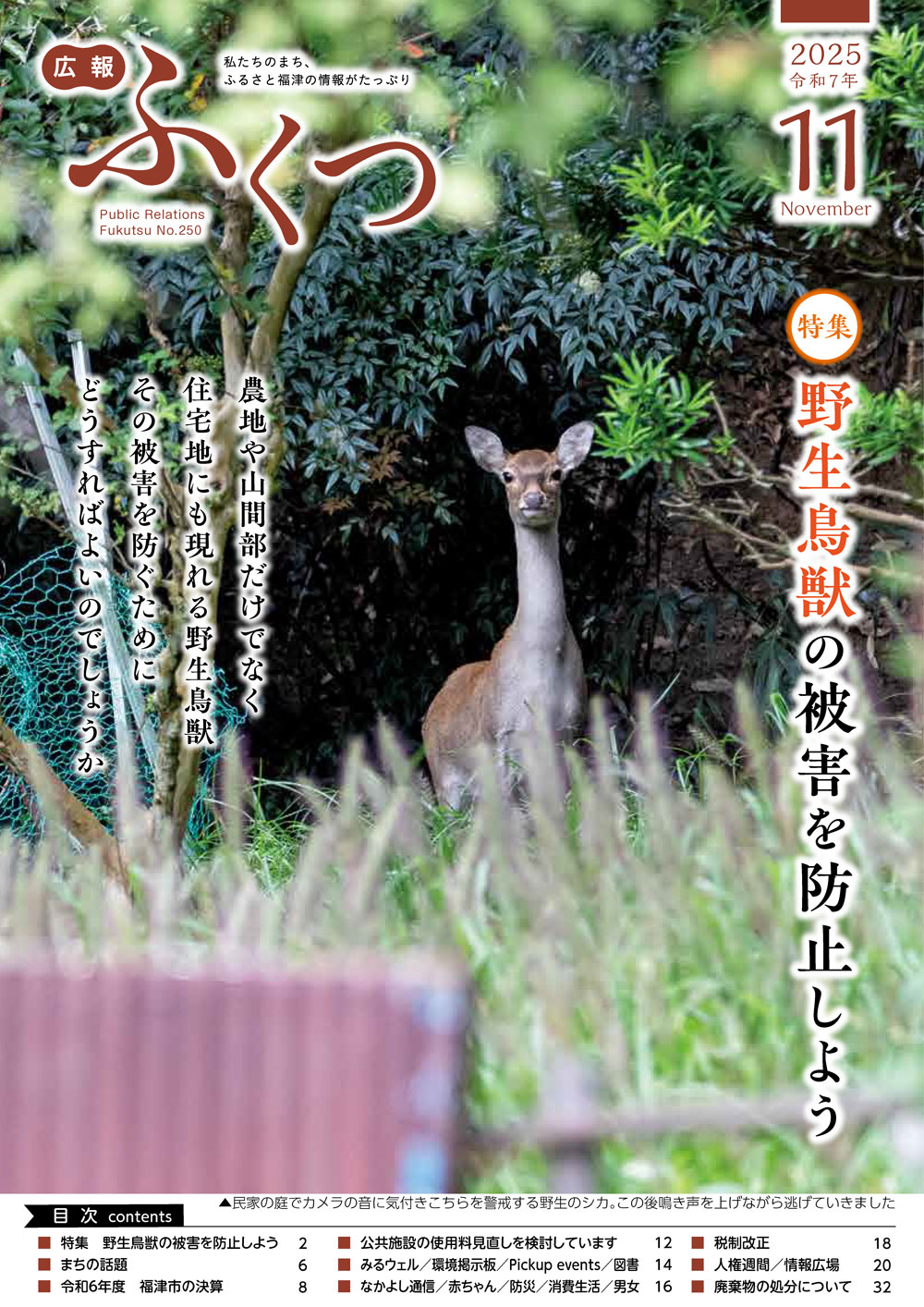 広報11月号の表紙の写真