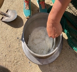 令和7年度 大和保育所 炊き出し訓練 かまどご飯