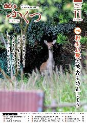 広報11月号の表紙の写真
