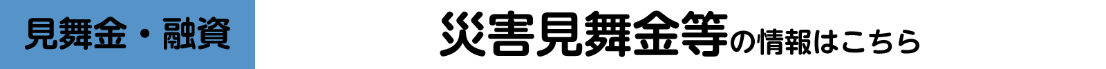災害メニュー1の画像