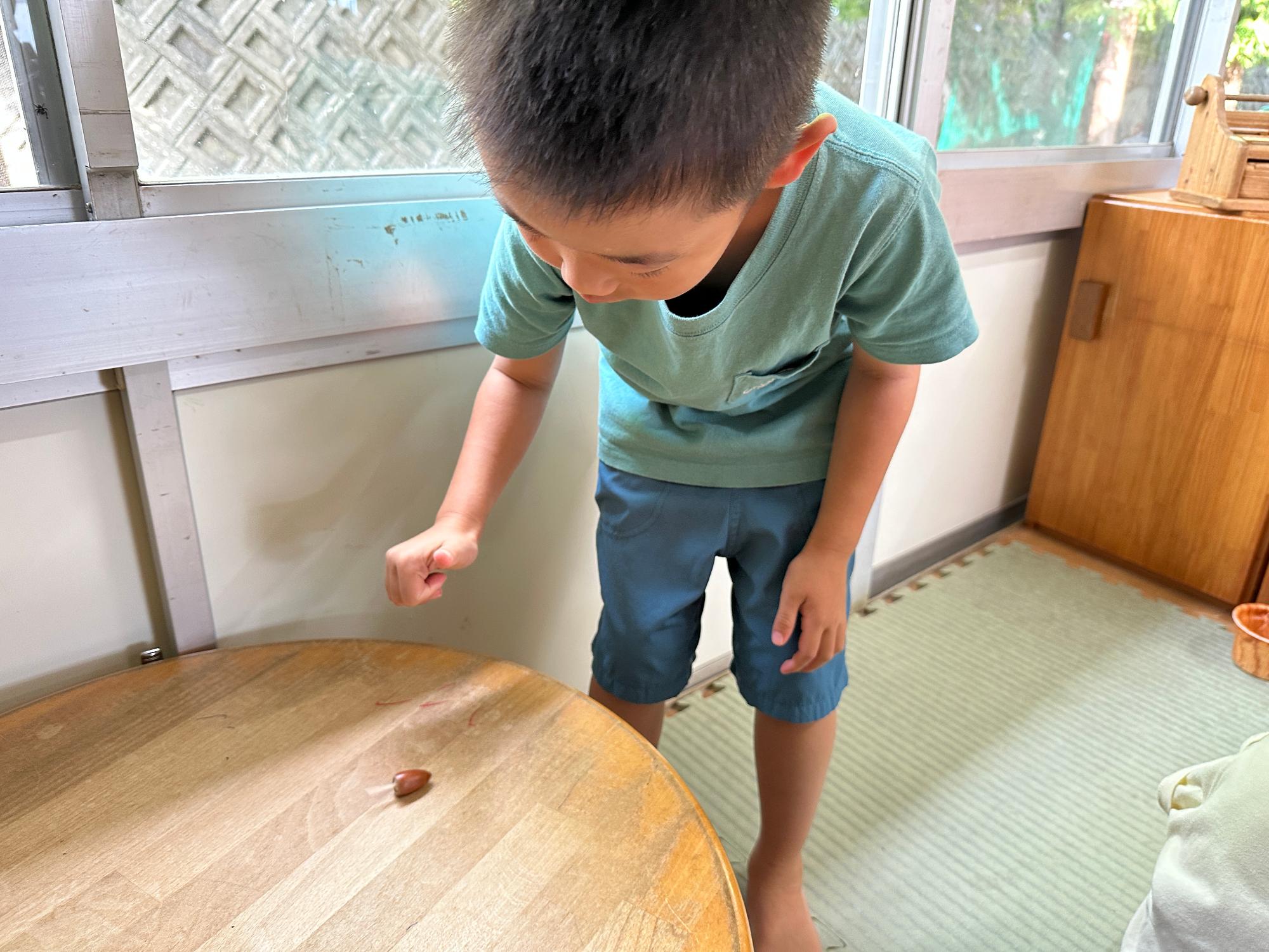 どんぐり10
