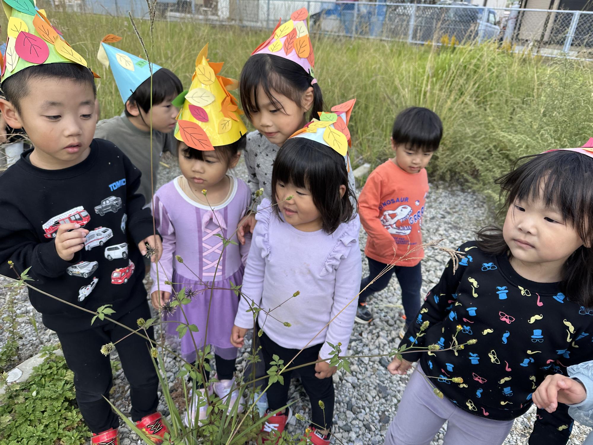 ぞうきばやしのすもうたいかい3