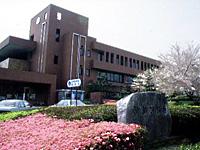 桜やツツジが咲いている福津市役所の外観写真