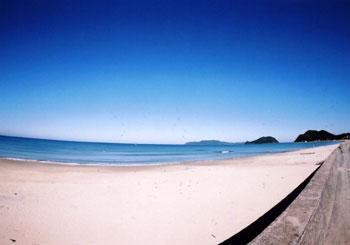 青い海と空、白い砂浜が美しい勝浦浜海岸の写真