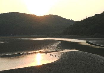 津屋崎干潟に夕日が差し込んで水辺が赤く光っている写真