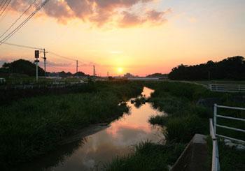 夕日が沈む薄オレンジ色になった空を水面に写している西郷川の写真
