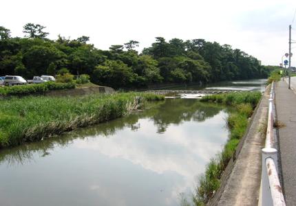 川の右側には道路があり、左側には草木が生え奥へと川が続いている写真