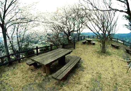 頂上に置かれてあるピクニックテーブルと桜の木の写真