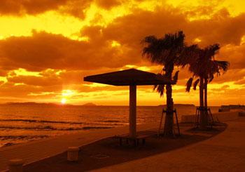 海に面してベンチと木があり夕日で赤く染まっている福間漁港海浜公園の写真