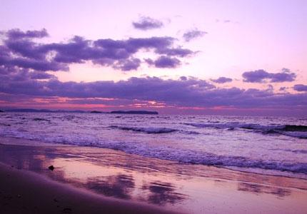 薄い紫色に染まる空と海の写真