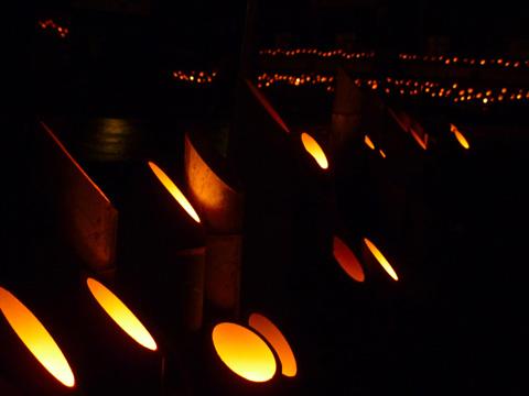 暗闇に火が灯った竹灯が並べられ赤々と光っている幻想的な写真