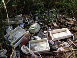 不法投棄されたものや海から流れ着いたゴミが散乱している写真