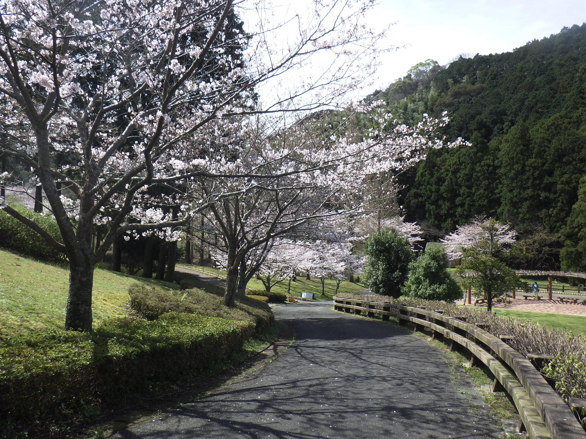 ほたるの里　園路