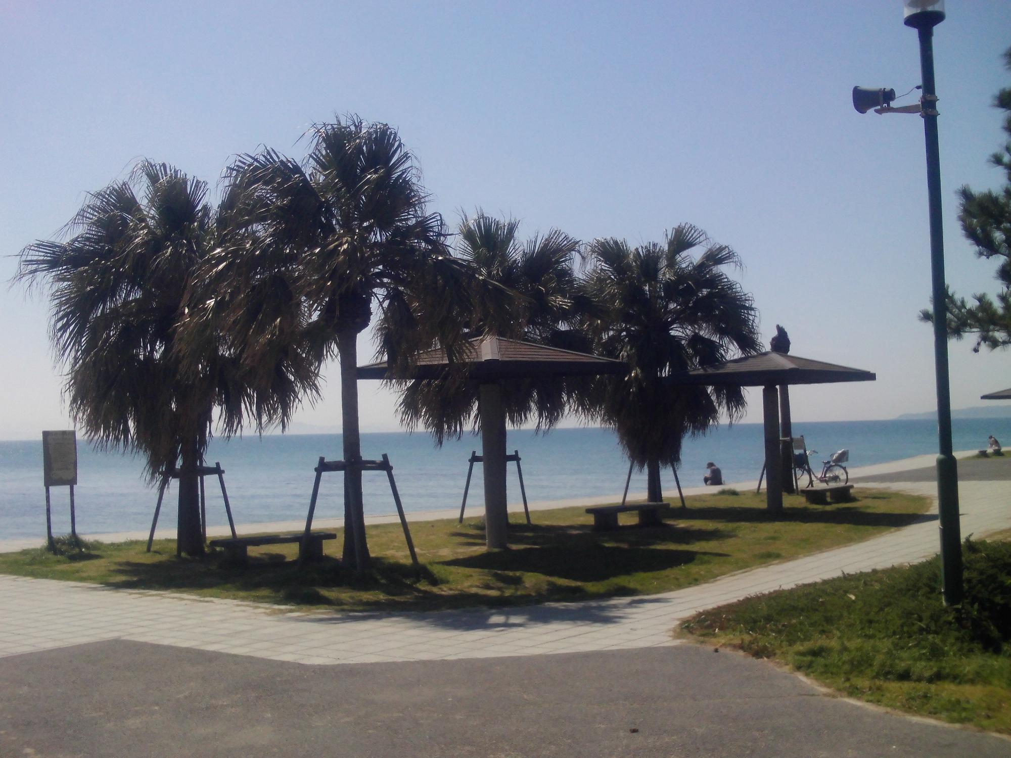 海浜公園