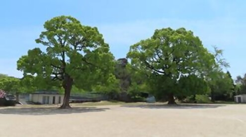 上西郷小学校グラウンド