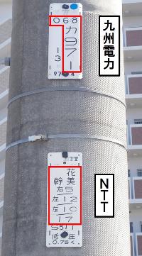 電柱番号