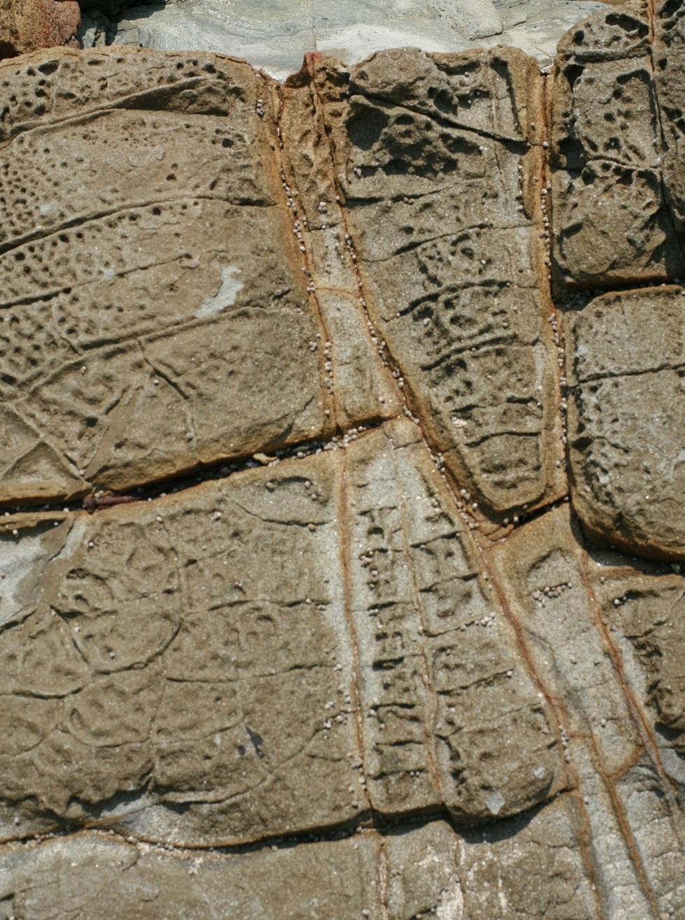 古代文明の絵文字のような模様が入った岩の写真