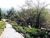 宮地嶽自然歩道コースの両脇に草木が植えられている写真