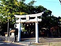 波折神社の鳥居の周りに木々が咲き誇っている写真