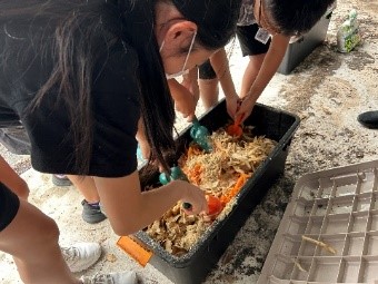 神興小学校　コンポストの取組