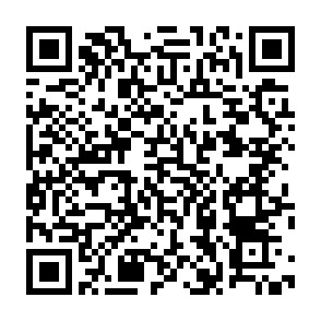 個人面談申請書QRコード