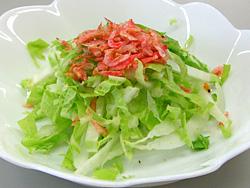白いお皿に盛りつけられた桜海老で満開の桜をイメージしたサラダの写真